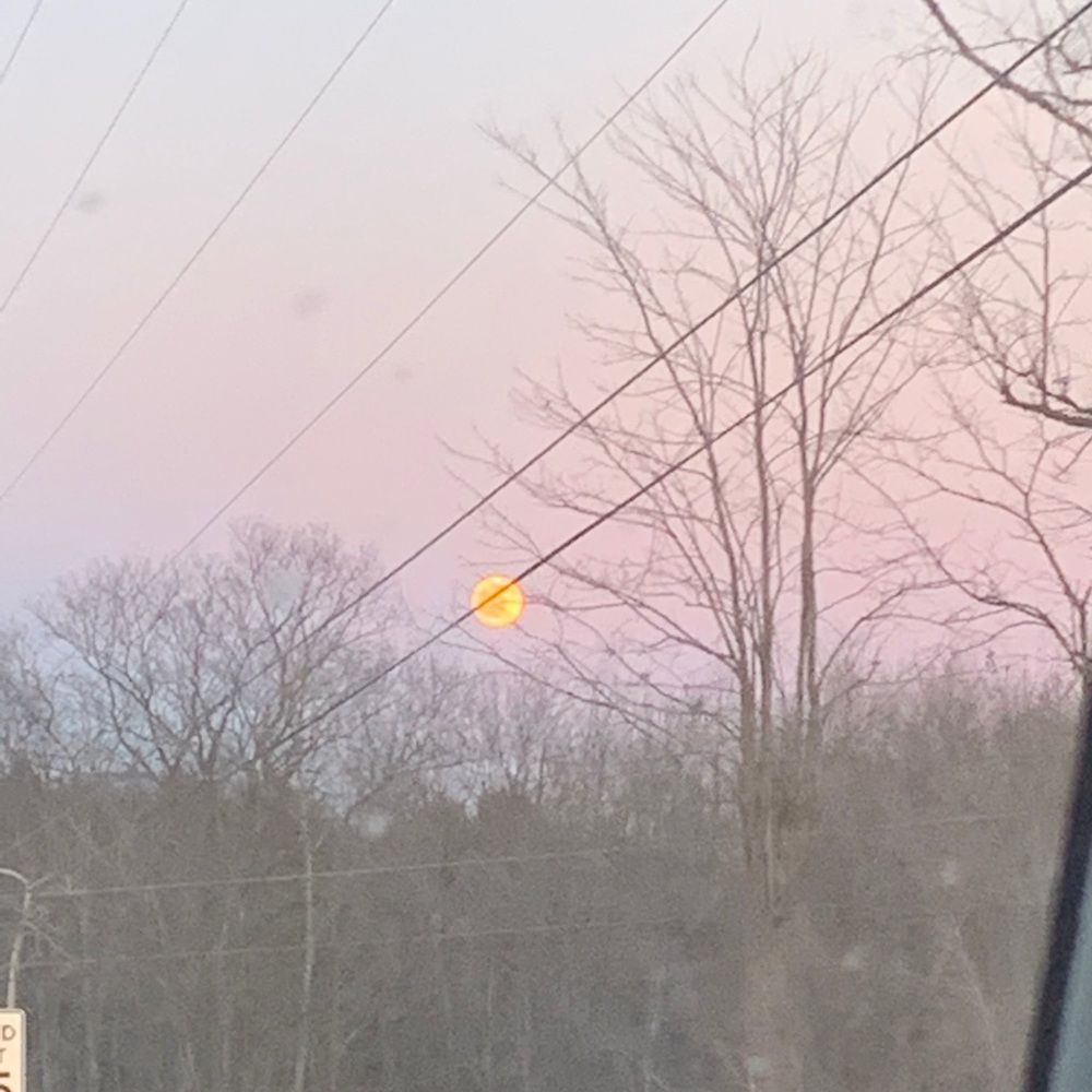 Meet your Posher, Haidyn